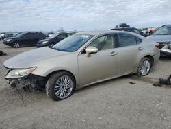 Salvage cars for sale at Earlington, KY auction: 2013 Lexus ES 350