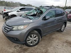 2014 Honda CR-V EXL en venta en Apopka, FL