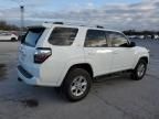 2021 Toyota 4runner SR5/SR5 Premium