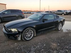 Salvage cars for sale at Temple, TX auction: 2013 Ford Mustang