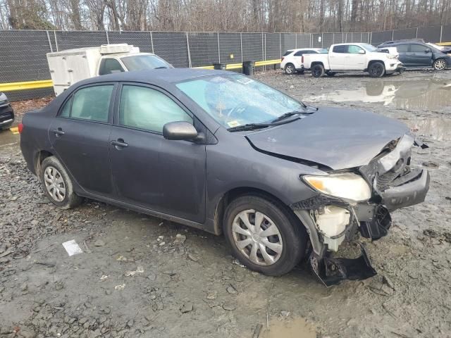 2010 Toyota Corolla Base