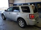 2008 Ford Escape Limited