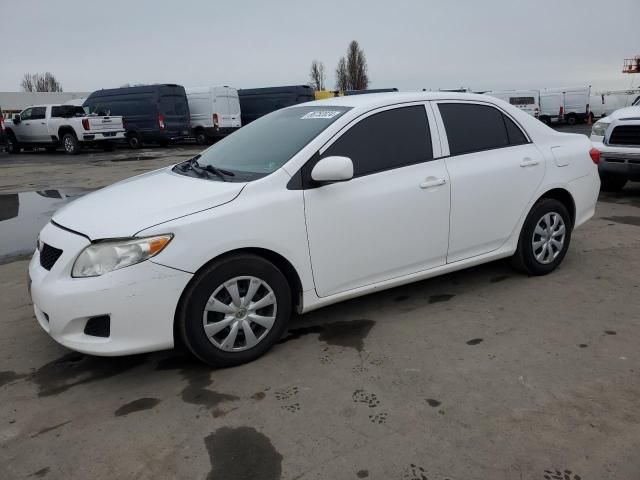 2010 Toyota Corolla Base