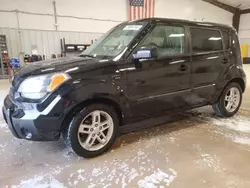 Salvage cars for sale at San Antonio, TX auction: 2011 KIA Soul +