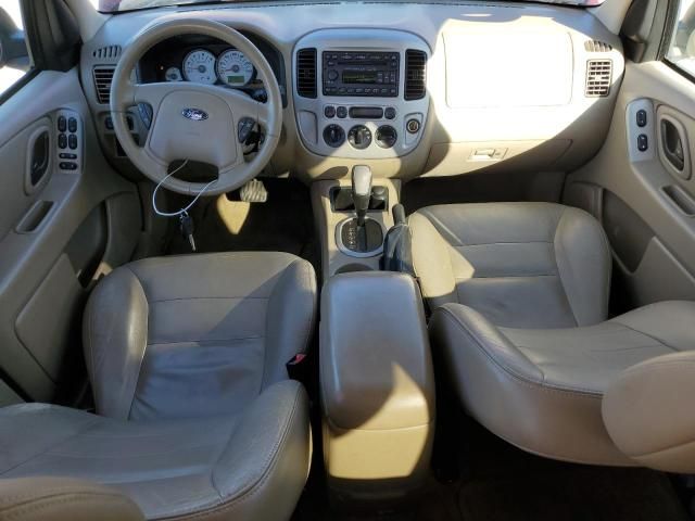 2007 Ford Escape XLT