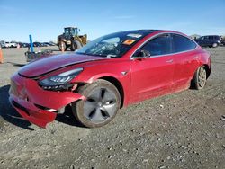 Salvage cars for sale at Antelope, CA auction: 2020 Tesla Model 3