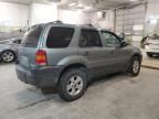 2005 Ford Escape XLT