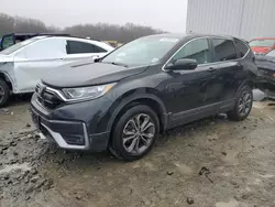 Salvage SUVs for sale at auction: 2020 Honda CR-V EXL