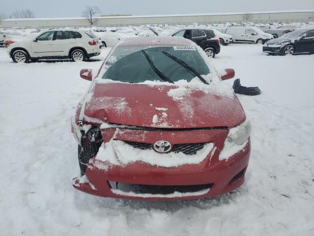 2010 Toyota Corolla Base