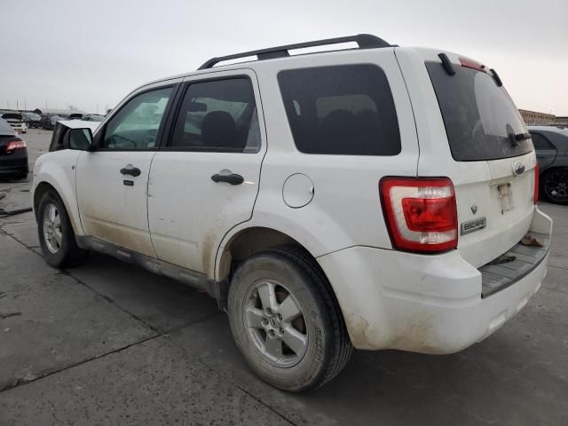 2009 Ford Escape XLT