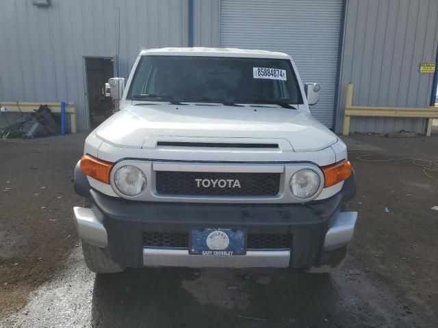 2010 Toyota FJ Cruiser