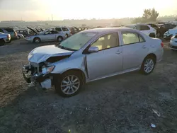 Toyota salvage cars for sale: 2010 Toyota Corolla Base