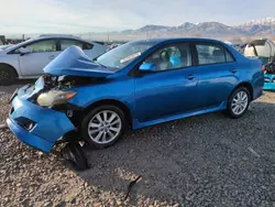 Salvage cars for sale at Magna, UT auction: 2010 Toyota Corolla Base