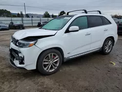 Salvage cars for sale at San Martin, CA auction: 2014 KIA Sorento SX