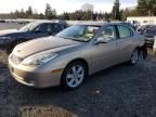 2005 Lexus ES 330