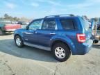 2008 Ford Escape HEV