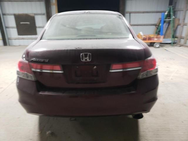 2011 Honda Accord EXL