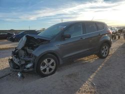 Salvage cars for sale at Andrews, TX auction: 2015 Ford Escape SE