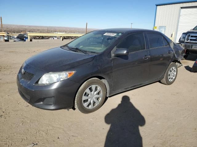 2010 Toyota Corolla Base