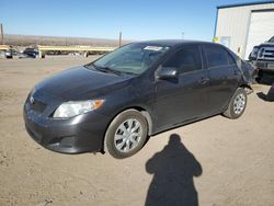 Salvage cars for sale at Albuquerque, NM auction: 2010 Toyota Corolla Base