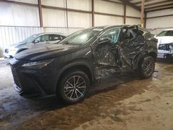 2022 Lexus NX 350H en venta en Pennsburg, PA