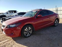 Honda salvage cars for sale: 2008 Honda Accord EXL