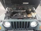 1999 Jeep Wrangler / TJ Sport