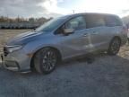 2023 Honda Odyssey EXL