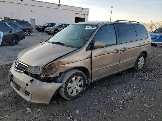 2004 Honda Odyssey EX