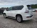 2017 Lexus GX 460