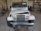 1995 Jeep Wrangler / YJ SE