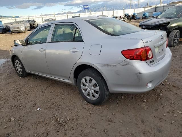 2010 Toyota Corolla Base