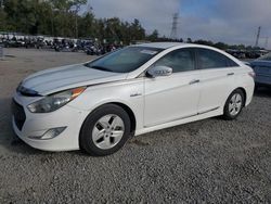 Salvage cars for sale at Riverview, FL auction: 2011 Hyundai Sonata Hybrid