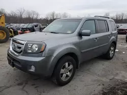 2009 Honda Pilot EXL en venta en Marlboro, NY