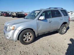 Salvage cars for sale at Earlington, KY auction: 2012 Ford Escape Limited