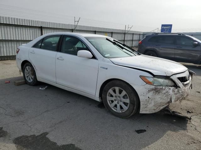 2009 Toyota Camry Hybrid