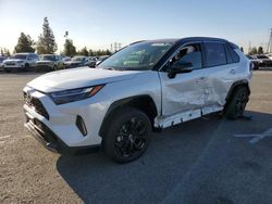 Lots with Bids for sale at auction: 2023 Toyota Rav4 XSE