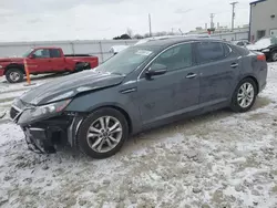 KIA Optima salvage cars for sale: 2011 KIA Optima EX