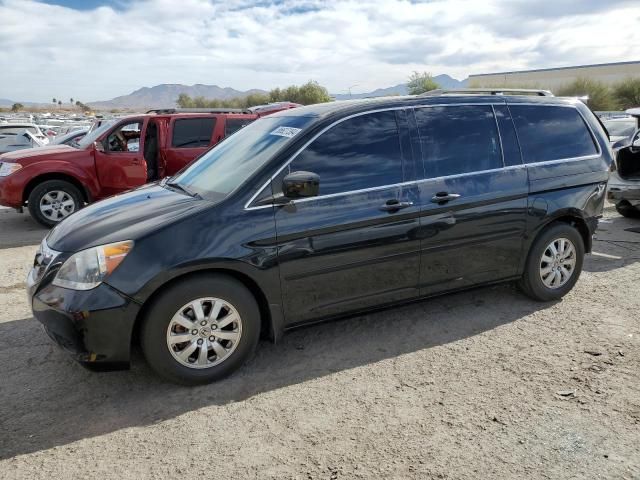 2008 Honda Odyssey EXL