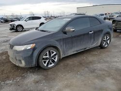 Salvage cars for sale at Rocky View County, AB auction: 2010 KIA Forte SX