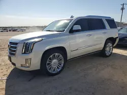 Cadillac Vehiculos salvage en venta: 2015 Cadillac Escalade Platinum