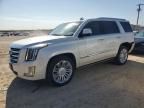 2015 Cadillac Escalade Platinum