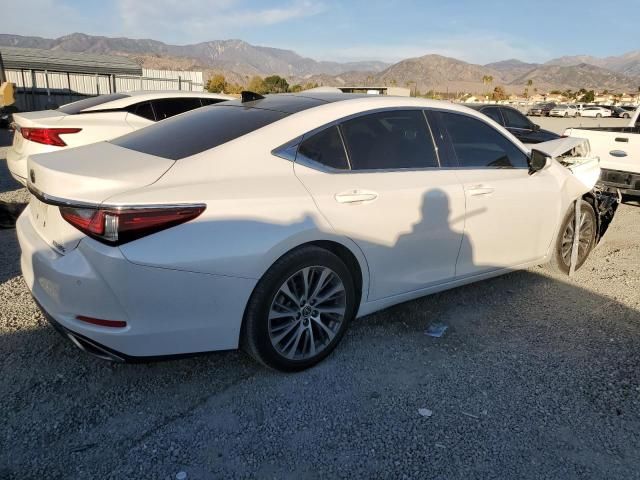 2019 Lexus ES 350