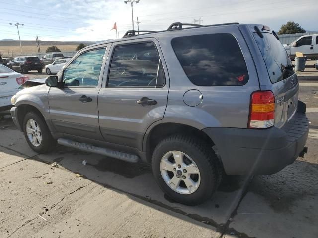 2007 Ford Escape XLT