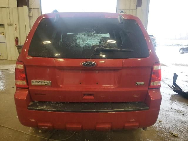 2010 Ford Escape XLT