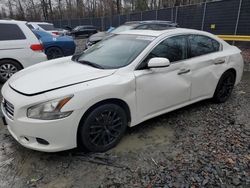 Carros salvage para piezas a la venta en subasta: 2013 Nissan Maxima S