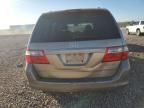 2005 Honda Odyssey EXL