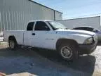 2000 Dodge Dakota