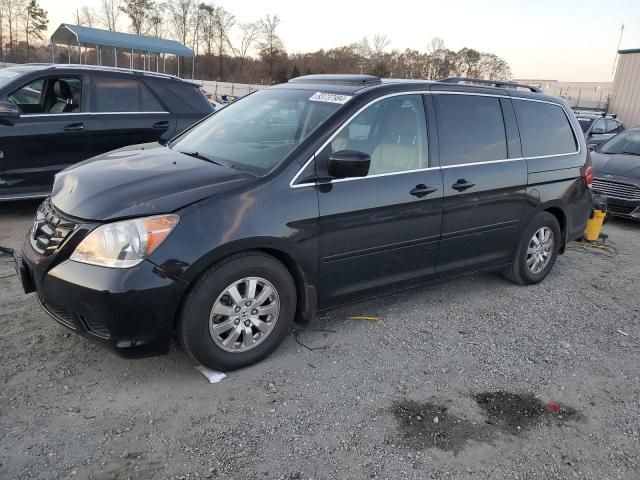 2009 Honda Odyssey EXL