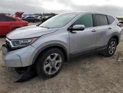 Salvage cars for sale at West Palm Beach, FL auction: 2019 Honda CR-V EX